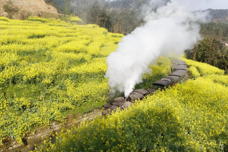 Biaya Tambahan Yang Sering Menjadi "Kejutan"