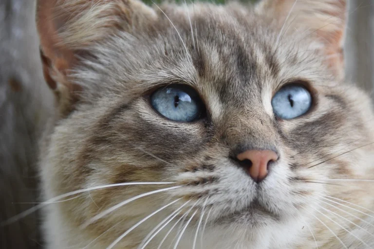 Cara Hitung Kebutuhan Cat Secara Mandiri
