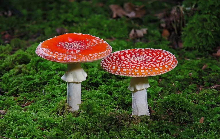 Cara Merawat Dinding Agar Warna Tetap "Fresh"