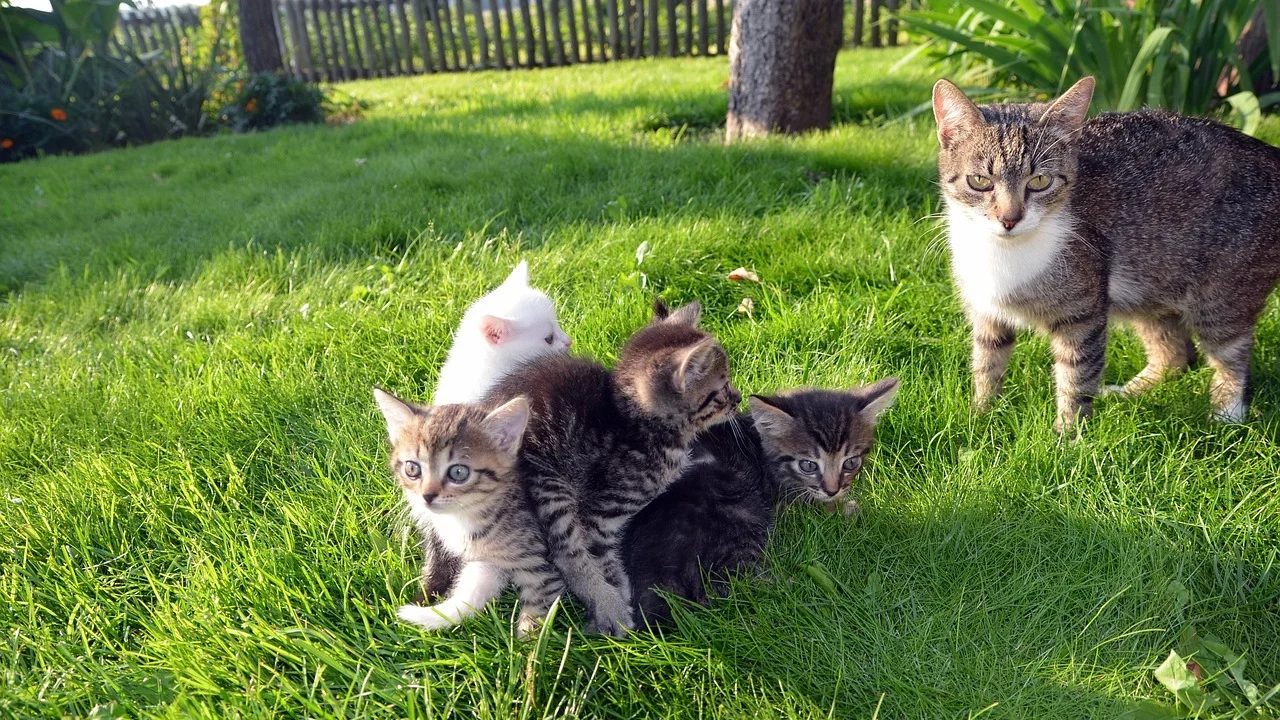 Green Garden Happy Family