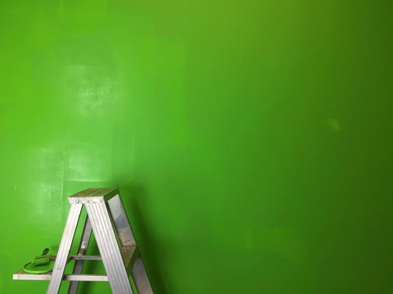 Ladder Home Renovation
