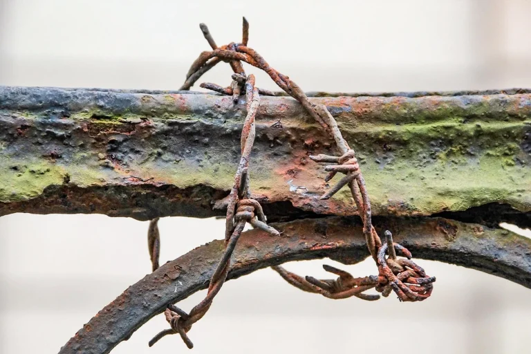 Metal Fence Rust Protection