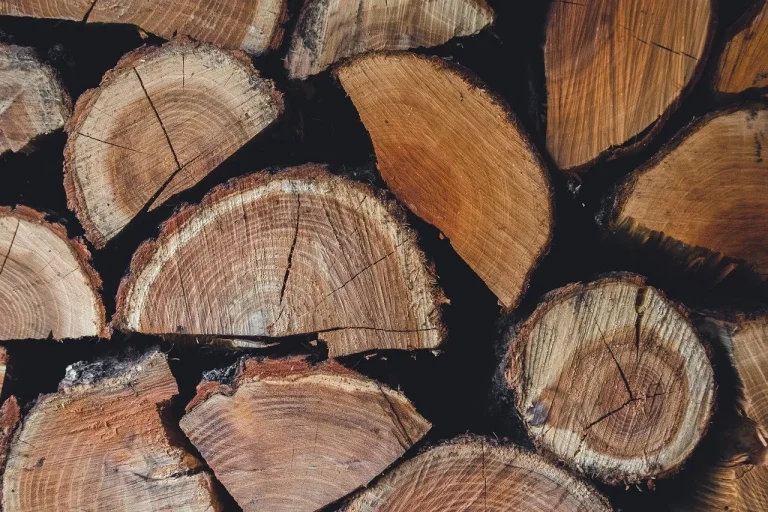 Modern Building Material Composite Wood