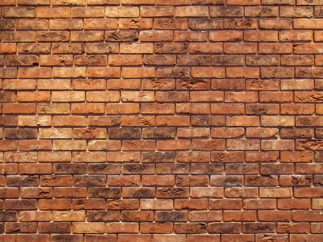 Red Brick Wall Traditional House