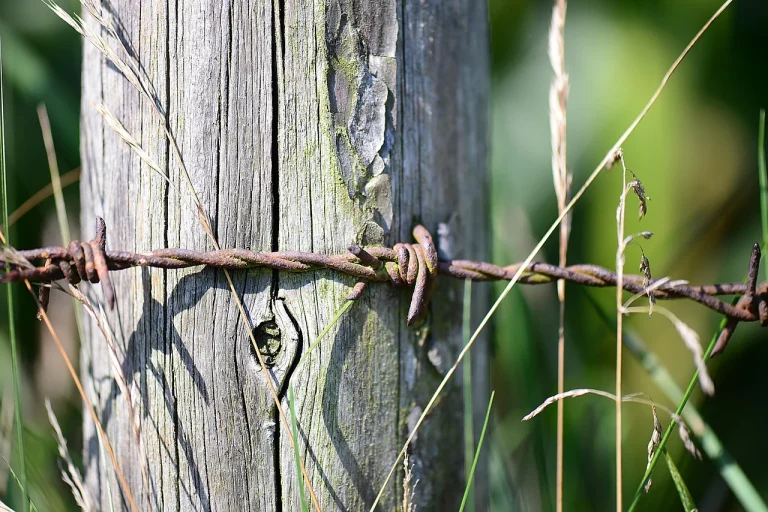 Rusty Fence Renovation Tools