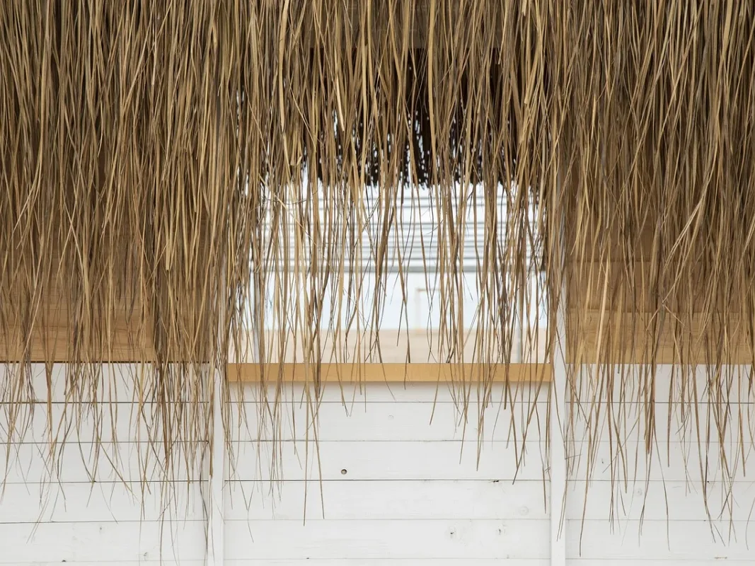 Tropical House Design House Cooling