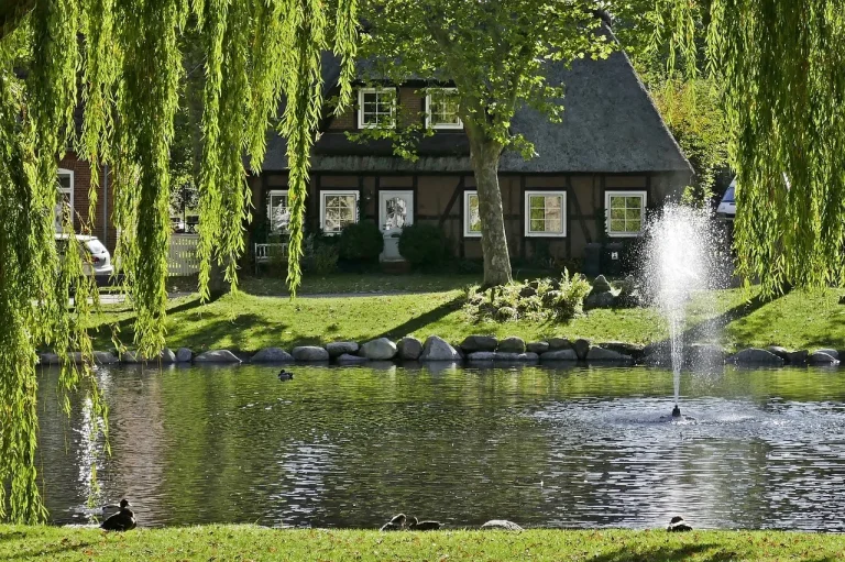 Water Fountain Pond