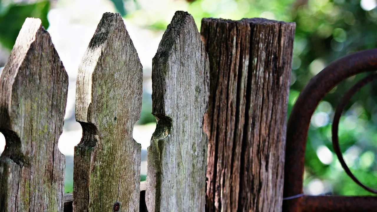 Broken Fence Damaged Gate