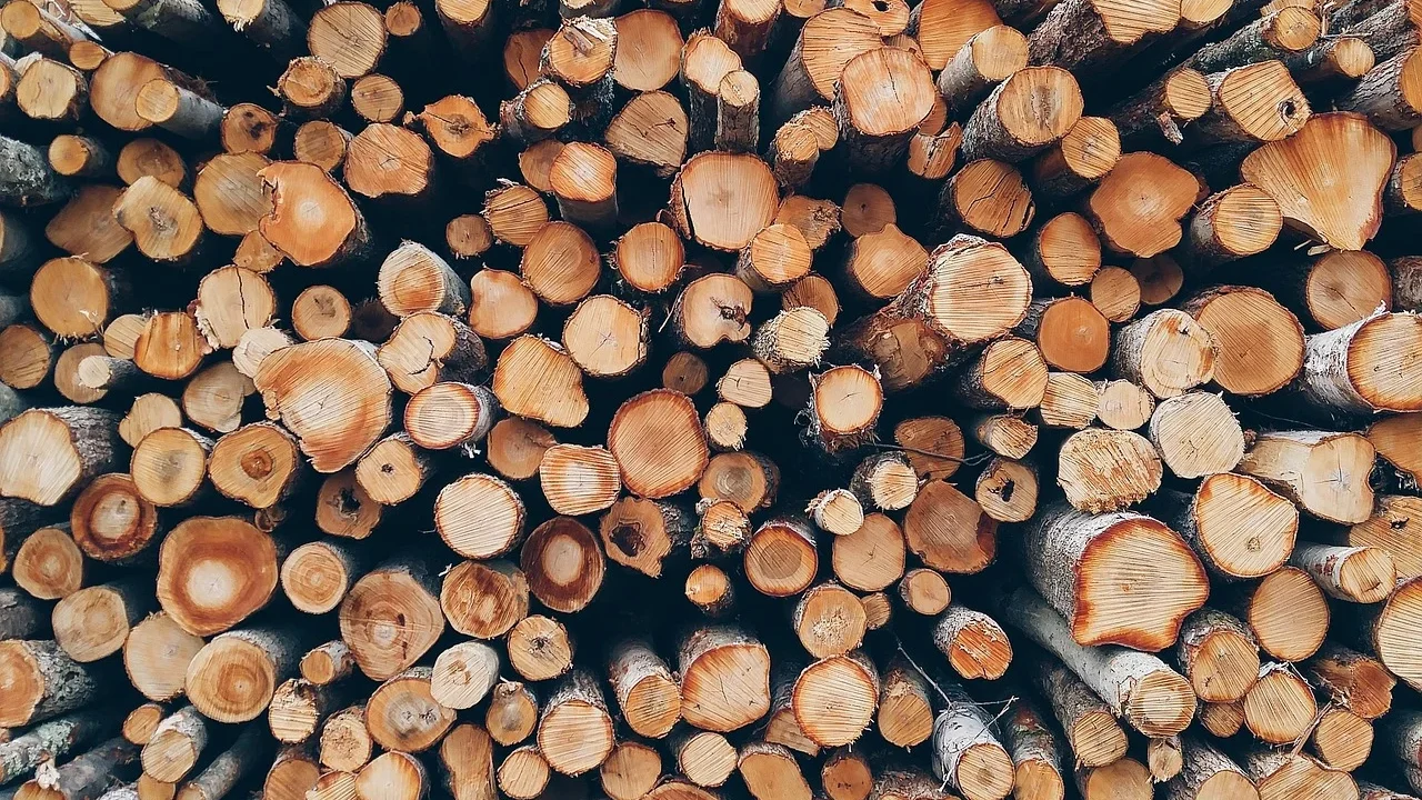 Building Materials Construction Timber