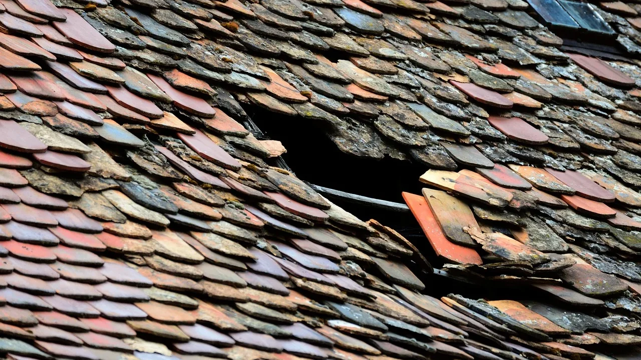 Leaky Roof Water Damage