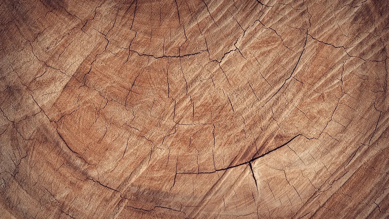 Wood Samples Timber Wood Texture