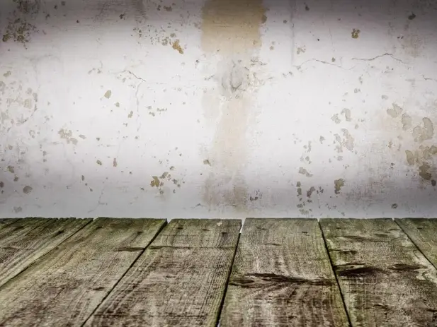 Building Materials Cement Bags Wooden Planks