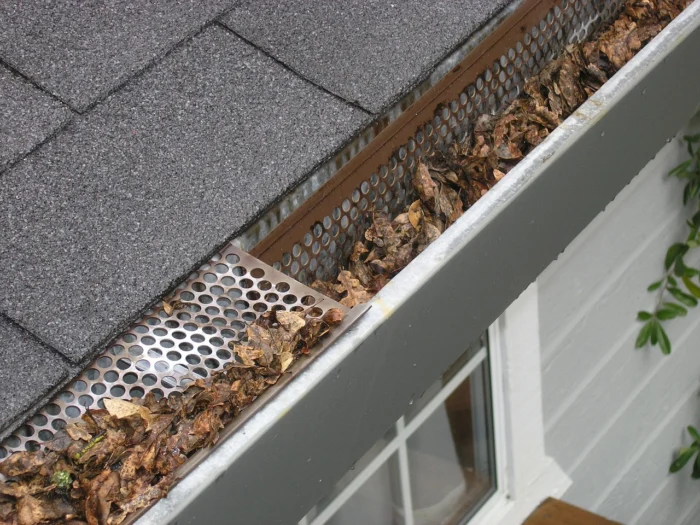 Cleaning Pipes Home Maintenance Prevention