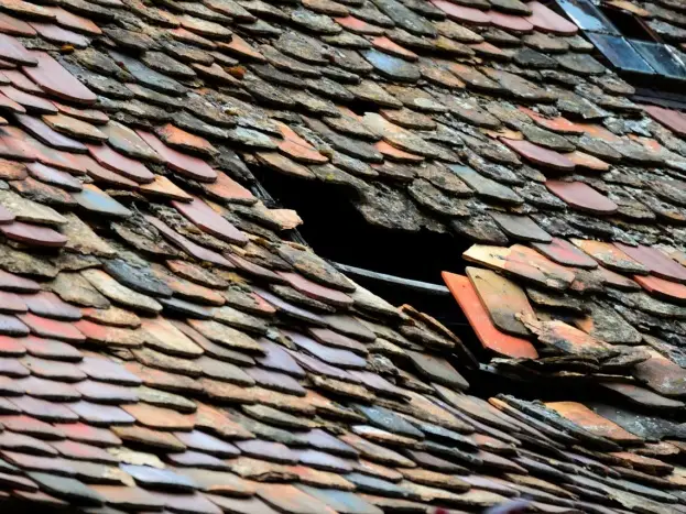 Leaky Roof Water Damage